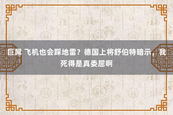 巨屌 飞机也会踩地雷？德国上将舒伯特暗示，我死得是真委屈啊