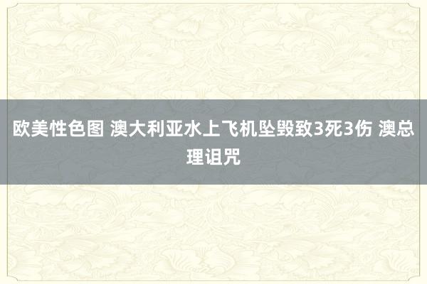 欧美性色图 澳大利亚水上飞机坠毁致3死3伤 澳总理诅咒