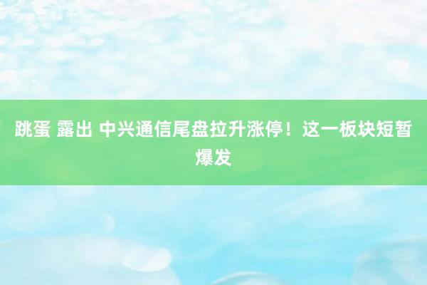 跳蛋 露出 中兴通信尾盘拉升涨停！这一板块短暂爆发