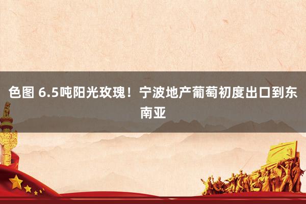 色图 6.5吨阳光玫瑰！宁波地产葡萄初度出口到东南亚