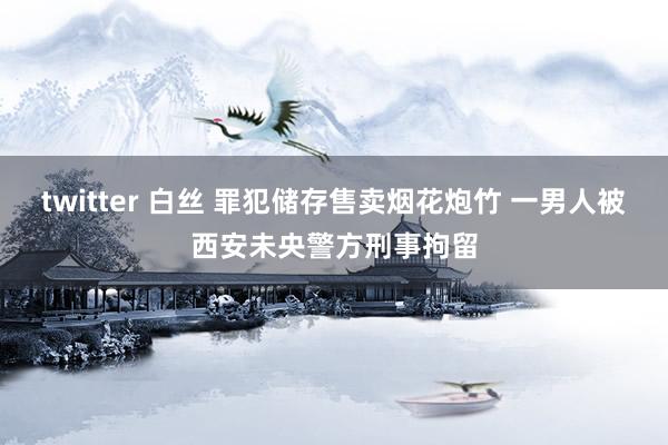 twitter 白丝 罪犯储存售卖烟花炮竹 一男人被西安未央警方刑事拘留