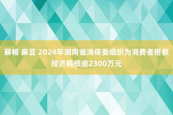 蘇暢 麻豆 2024年湖南省消保委组织为消费者搭救经济耗损逾2300万元