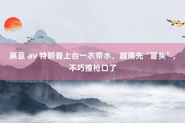 麻豆 av 特朗普上台一衣带水，越南先“冒头”，不巧撞枪口了